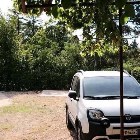 Hotel Manjsa Hisa Savudrija Alberi Zraven Petram Naselja Crveni Vrh Zewnętrze zdjęcie